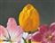 рис.3 натюрморт с тюльпанами - фрагмент  Кликните для перехода к этому слайду